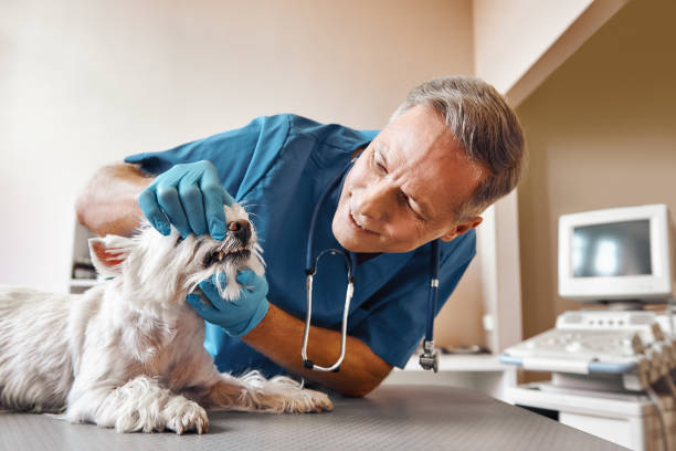 Best Emergency Treatment for Dental Infections or Abscesses in Vian, OK